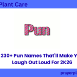 230+ Pun Names That'll Make You Laugh Out Loud For 2K26
