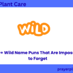 320+ Wild Name Puns That Are Impossible to Forget