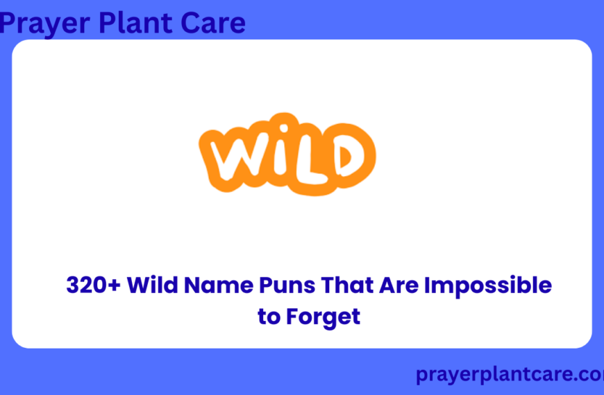 320+ Wild Name Puns That Are Impossible to Forget