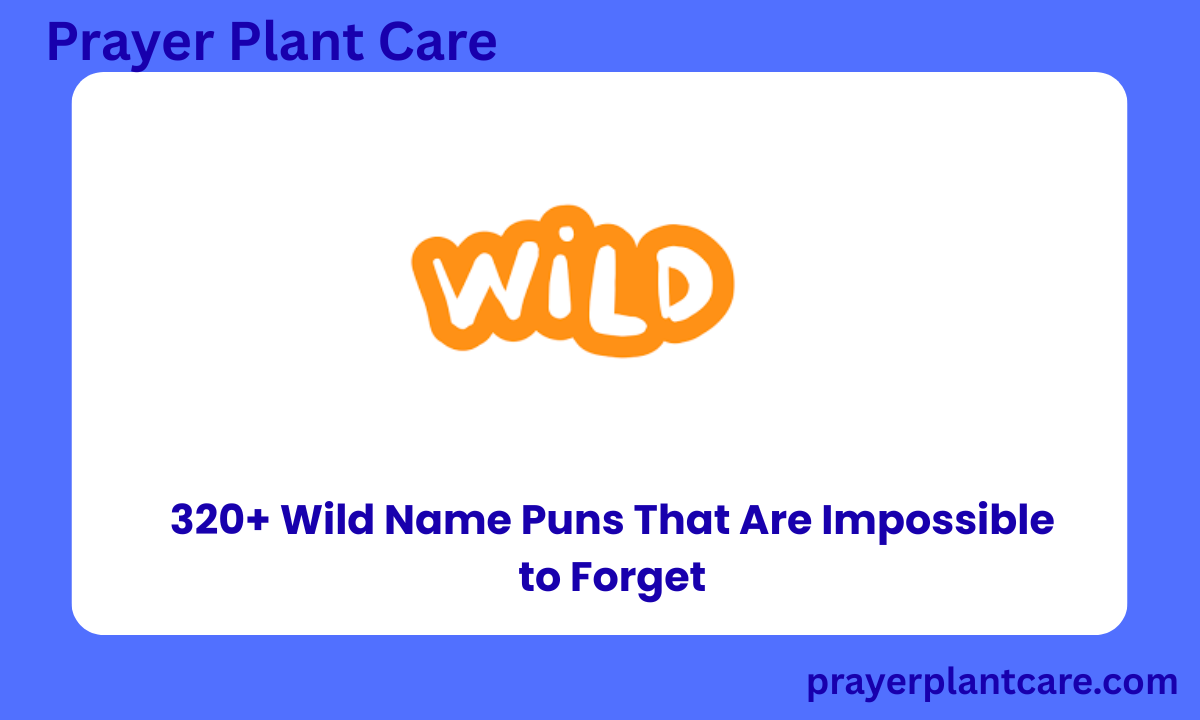 320+ Wild Name Puns That Are Impossible to Forget