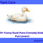 330+ Funny Duck Puns Comedy Gold for Pun Lovers!