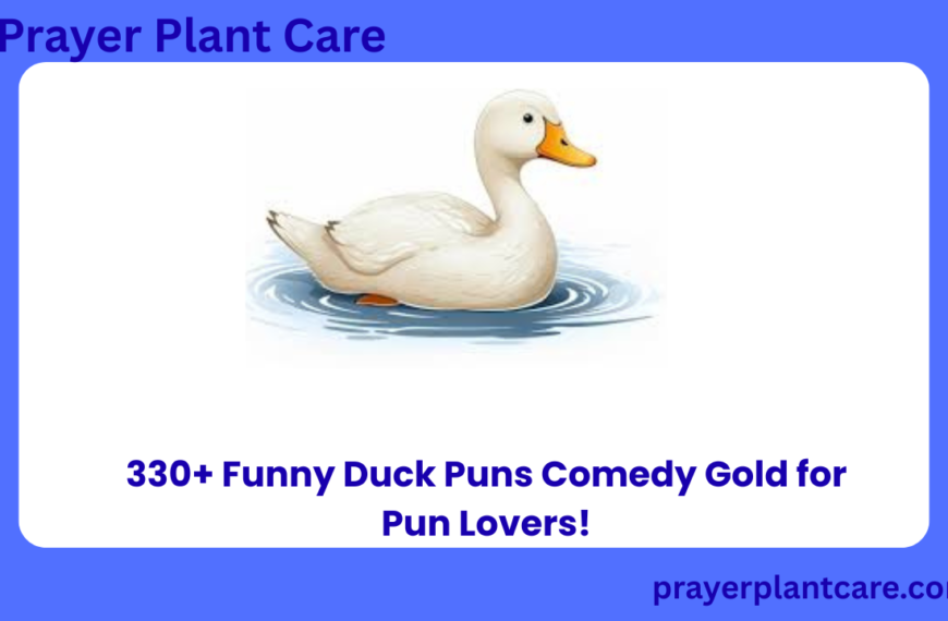 330+ Funny Duck Puns Comedy Gold for Pun Lovers!