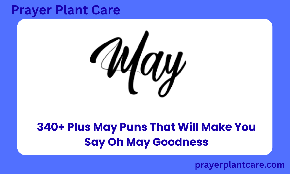 340+ Plus May Puns That Will Make You Say Oh May Goodness