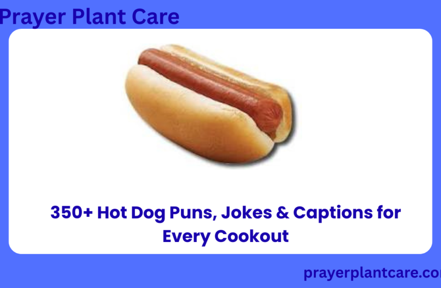 350+ Hot Dog Puns, Jokes & Captions for Every Cookout