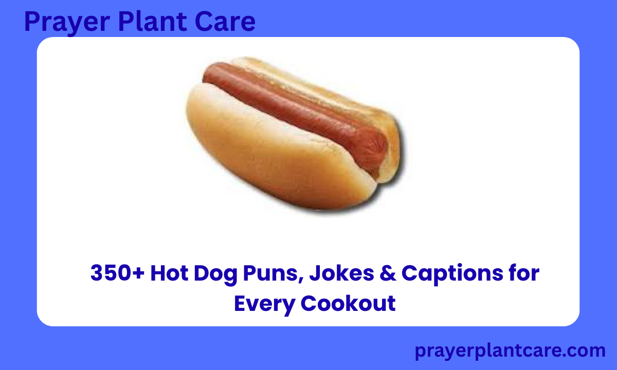 350+ Hot Dog Puns, Jokes & Captions for Every Cookout