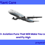 360+ Aviation Puns That Will Make You Laugh and Fly High