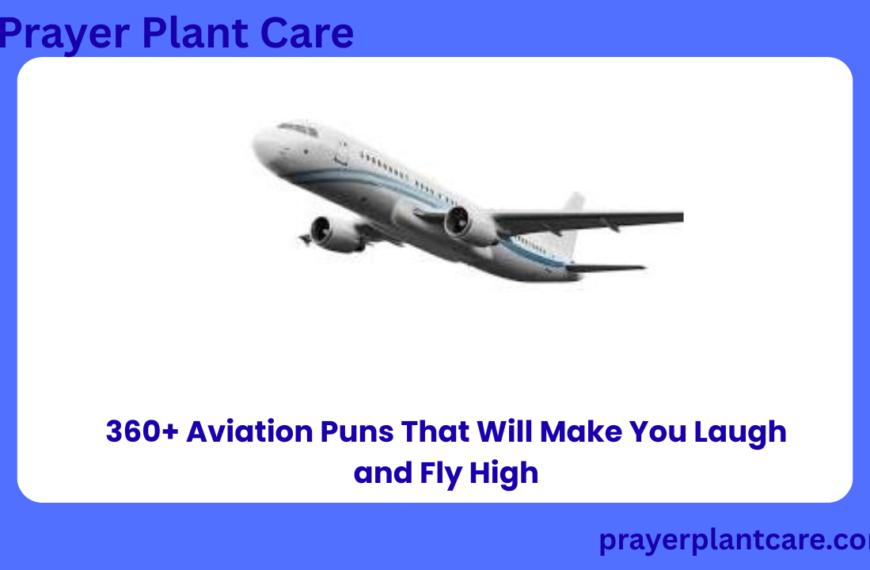 360+ Aviation Puns That Will Make You Laugh and Fly High