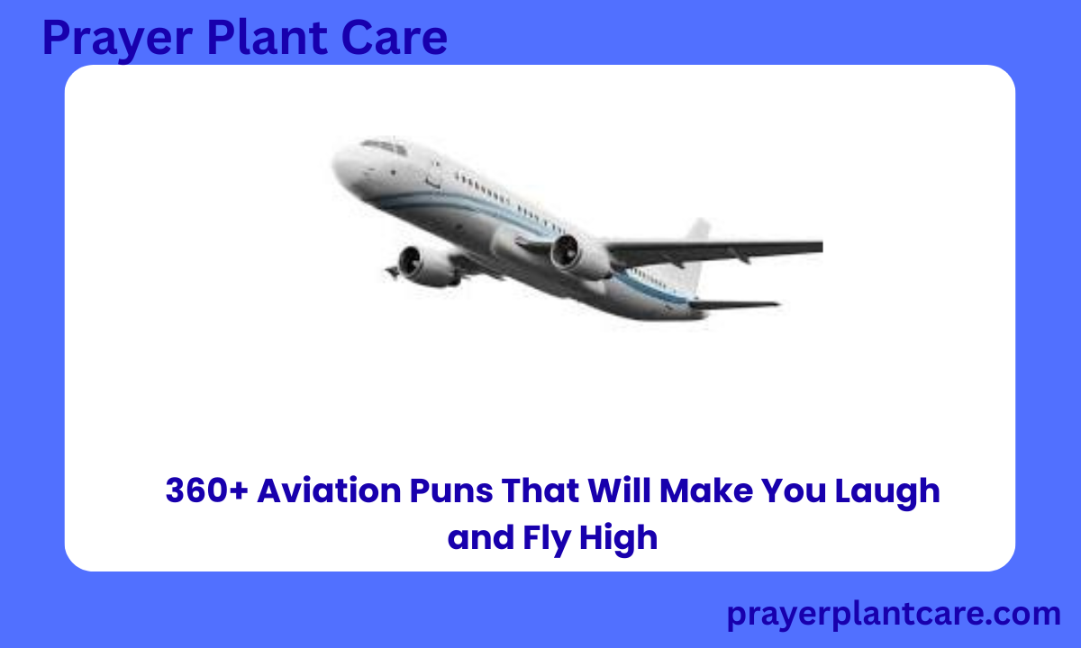 360+ Aviation Puns That Will Make You Laugh and Fly High