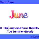 520+ Hilarious June Puns That’ll Make You Summer-Ready