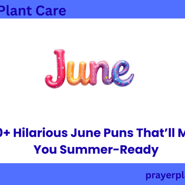 520+ Hilarious June Puns That’ll Make You Summer-Ready