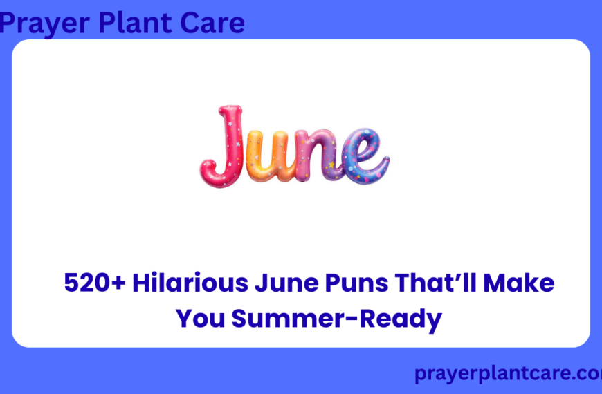 520+ Hilarious June Puns That’ll Make You Summer-Ready