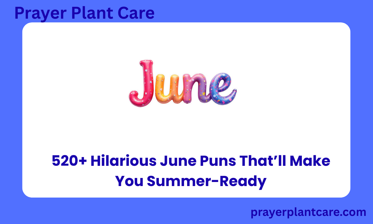 520+ Hilarious June Puns That’ll Make You Summer-Ready