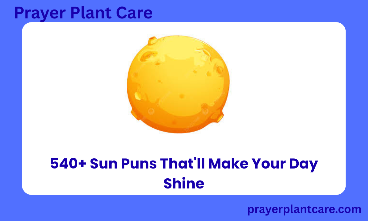 540+ Sun Puns That'll Make Your Day Shine