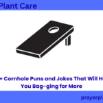 720+ Cornhole Puns and Jokes That Will Have You Bag-ging for More