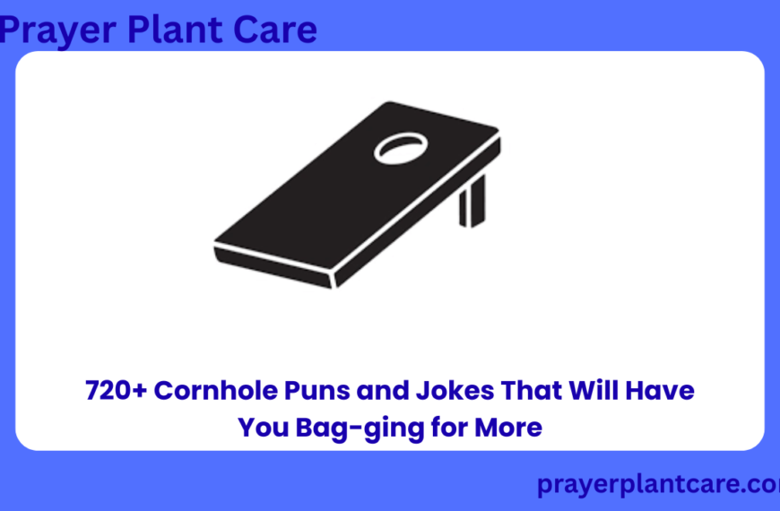 720+ Cornhole Puns and Jokes That Will Have You Bag-ging for More