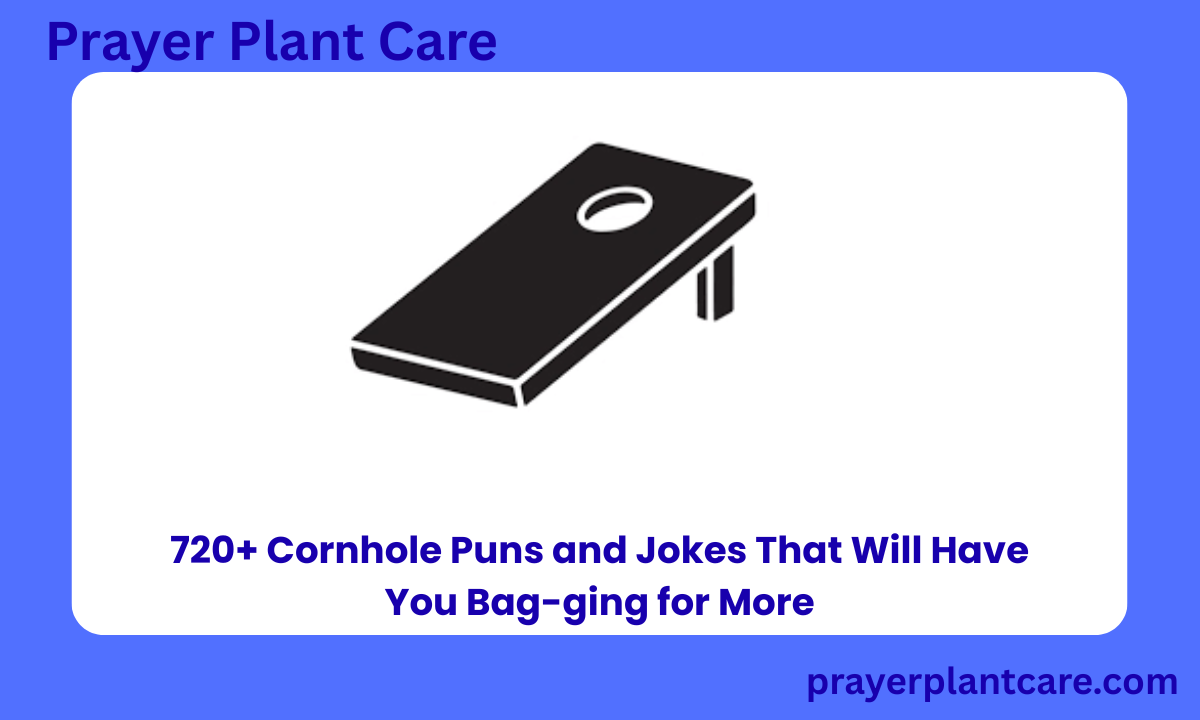 720+ Cornhole Puns and Jokes That Will Have You Bag-ging for More