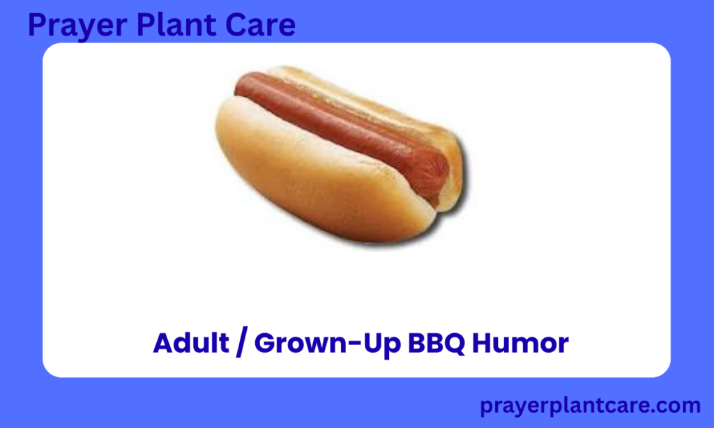 Adult Grown-Up BBQ Humor