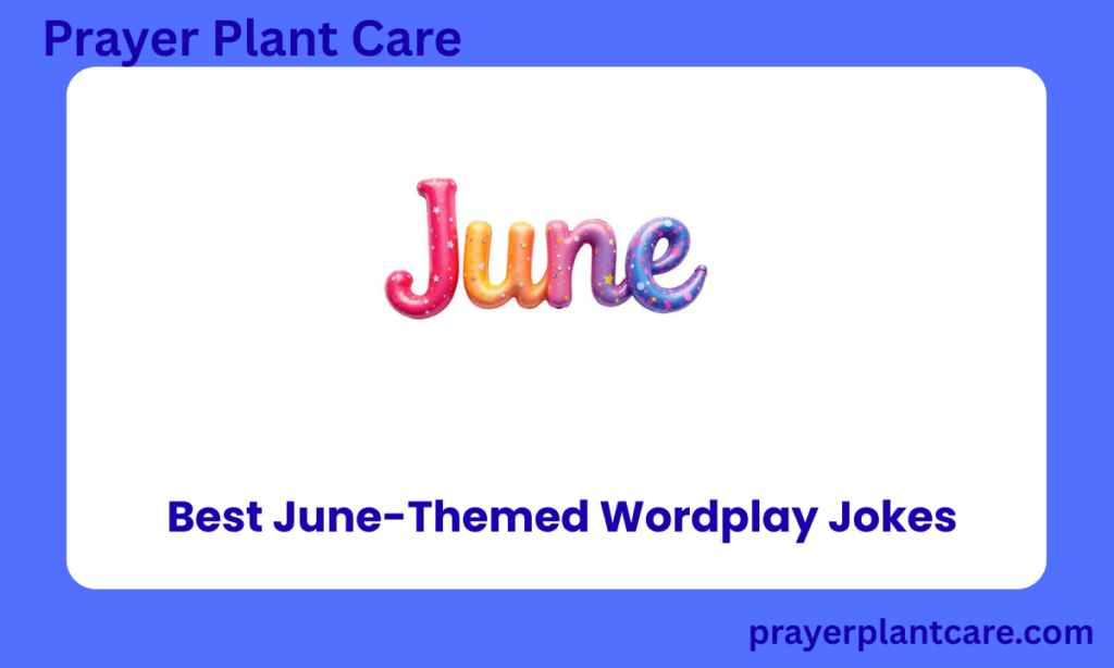 Best June-Themed Wordplay Jokes