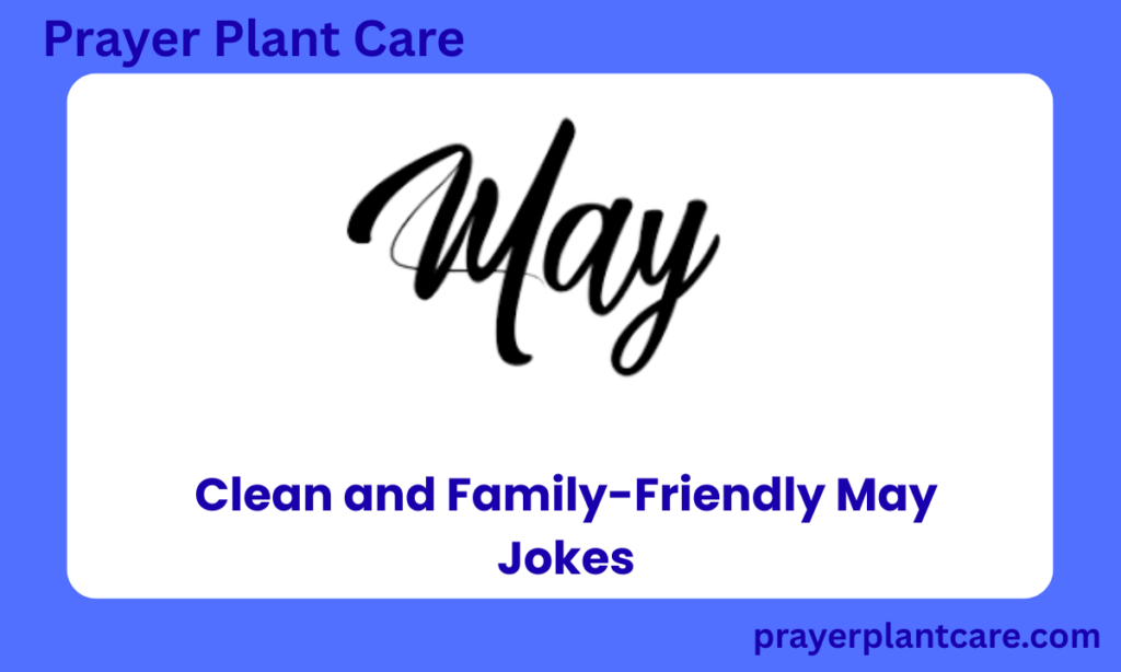Clean and Family-Friendly May Jokes
