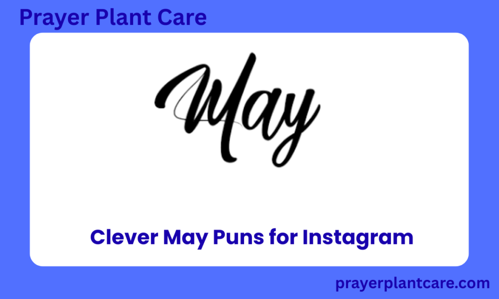 Clever May Puns for Instagram