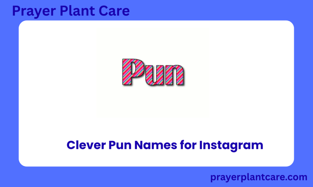 Clever Pun Names for Instagram