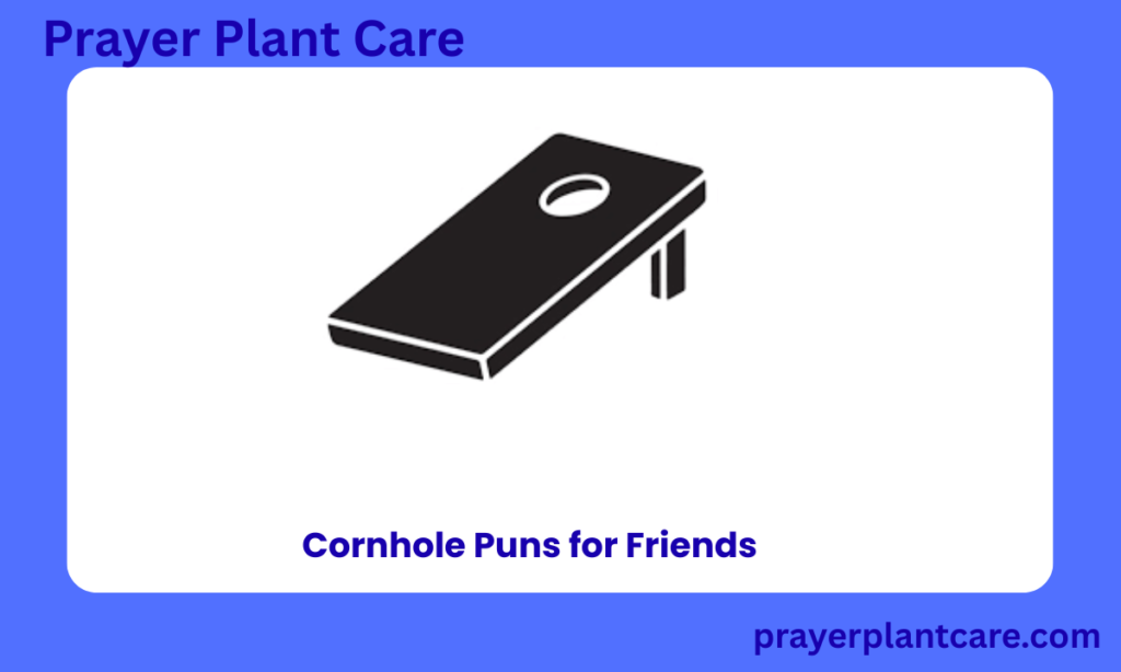 Cornhole Puns for Friends