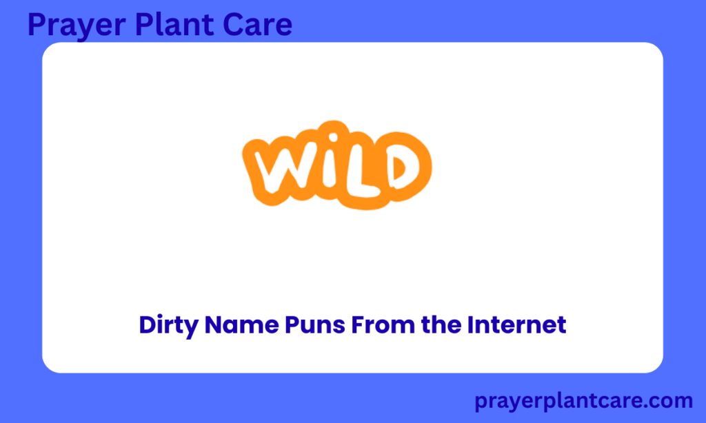 Dirty Name Puns From the Internet