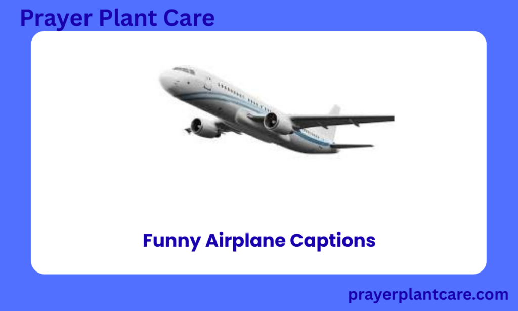 Funny Airplane Caption