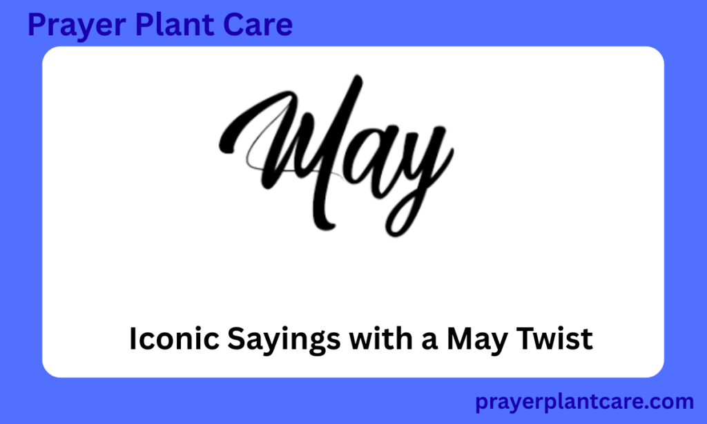 Iconic Sayings with a May Twist