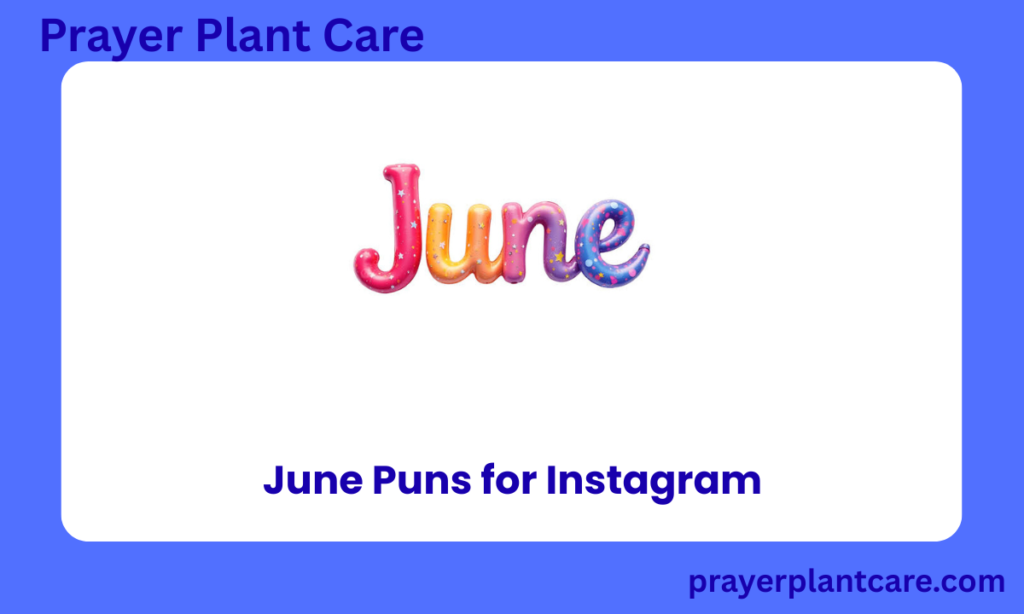June Puns for Instagram