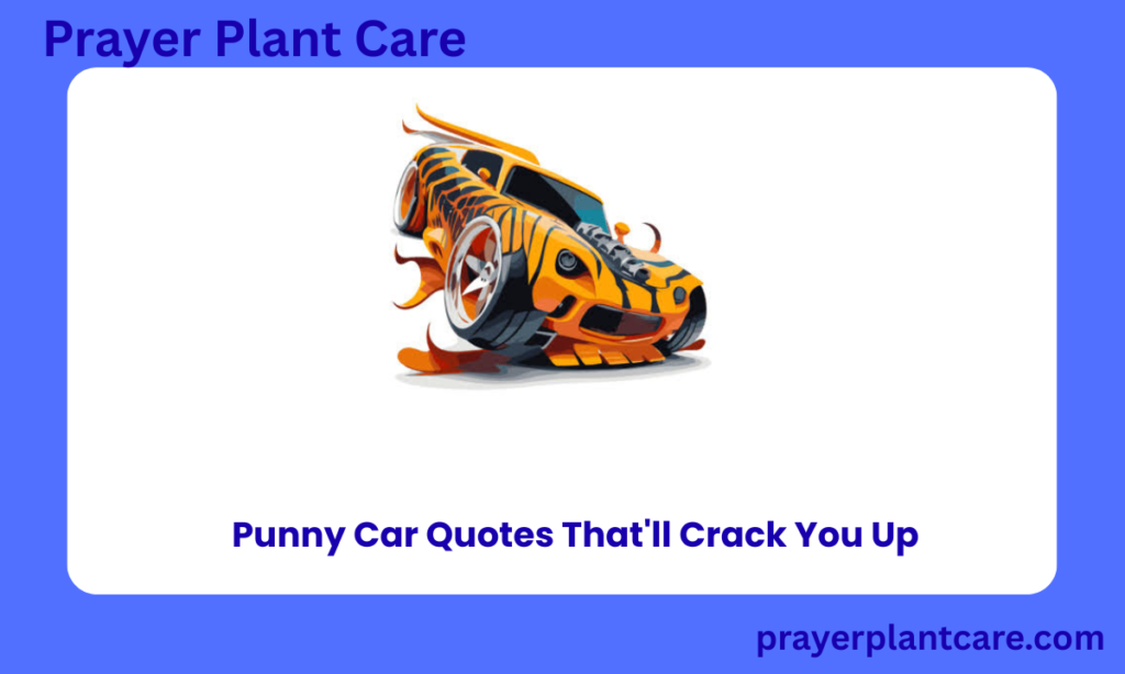 Punny Car Quotes That'll Crack You Up