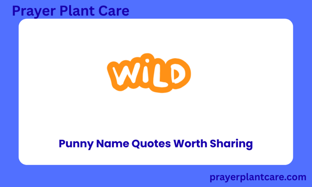 Punny Name Quotes Worth Sharing