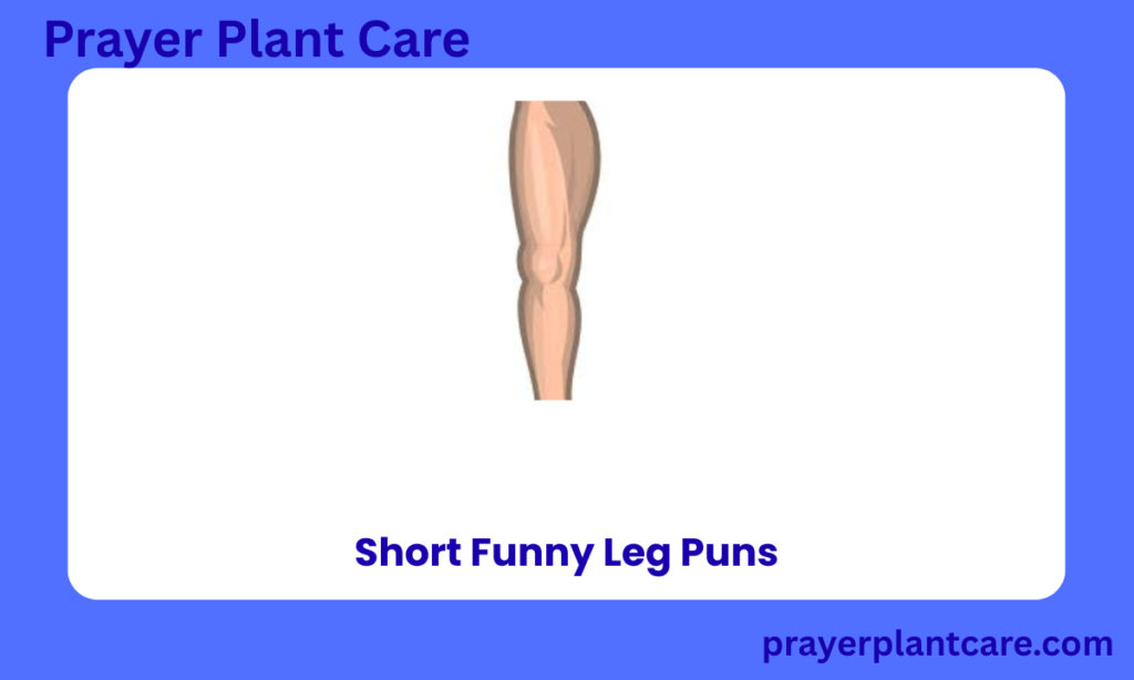 Short Funny Leg Puns