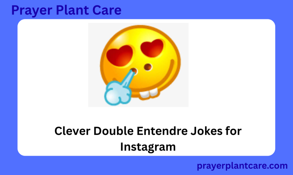 Clever Double Entendre Jokes for Instagram