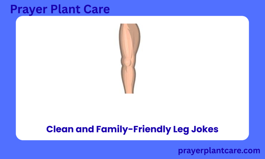 Clean and Family-Friendly Leg Jokes