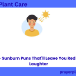 220+ Sunburn Puns That'll Leave You Red With Laughter