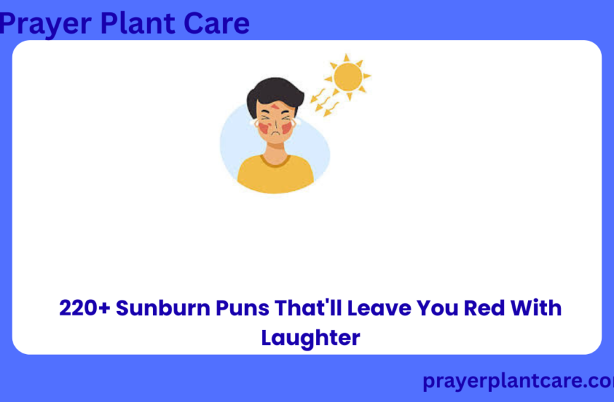 220+ Sunburn Puns That'll Leave You Red With Laughter