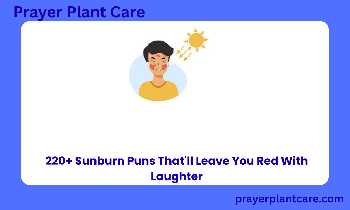 220+ Sunburn Puns That'll Leave You Red With Laughter