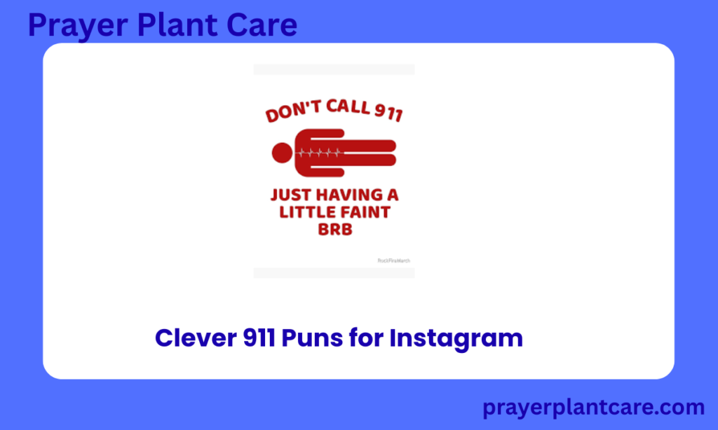Clever 911 Puns for Instagram