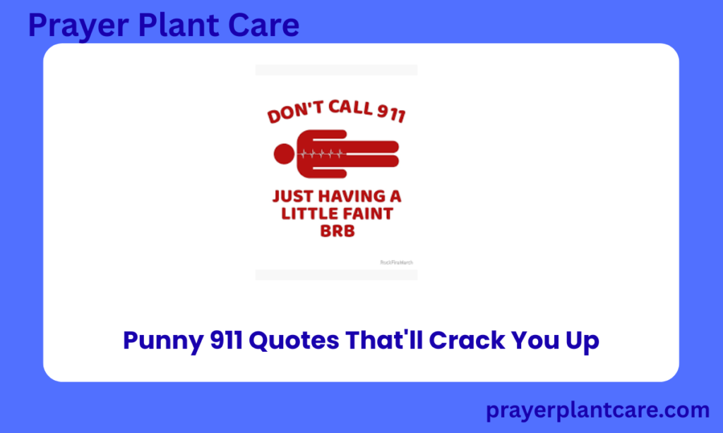 Punny 911 Quotes That'll Crack You Up