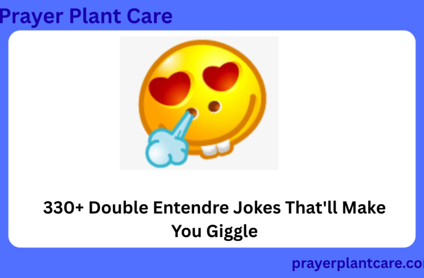 330+ Double Entendre Jokes That'll Make You Giggle