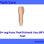 430+ Leg Puns That’ll Knock You Off Your Feet