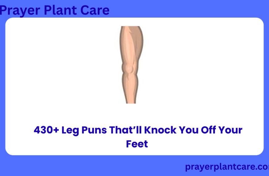 430+ Leg Puns That’ll Knock You Off Your Feet