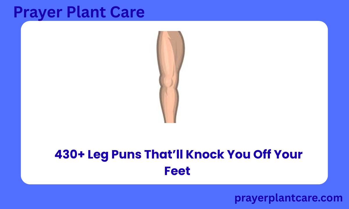 430+ Leg Puns That’ll Knock You Off Your Feet