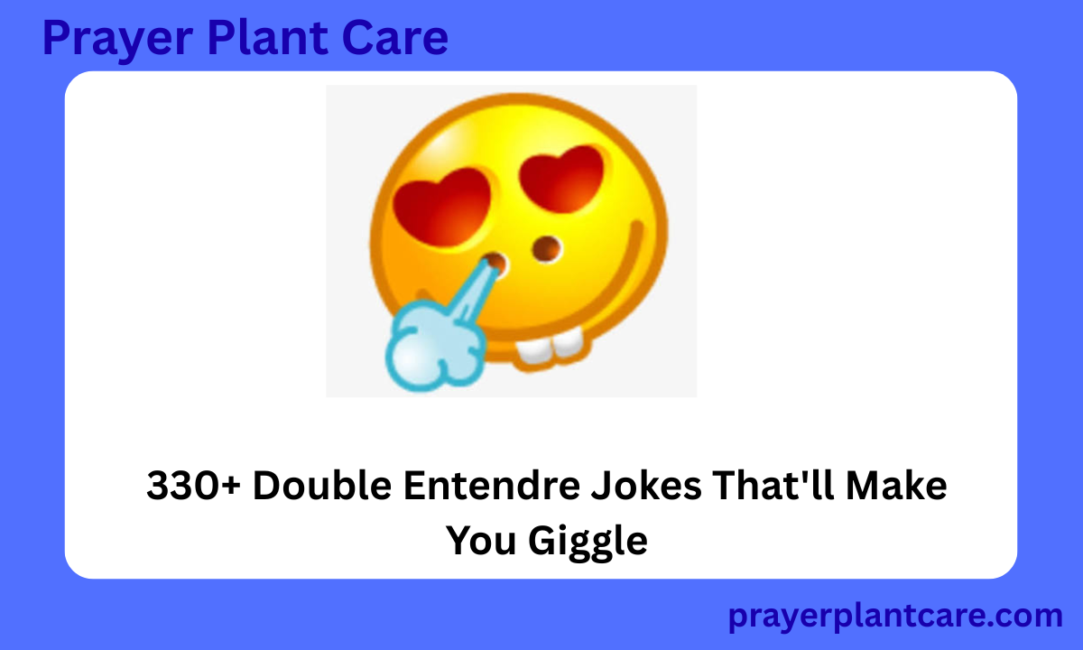 330+ Double Entendre Jokes That'll Make You Giggle
