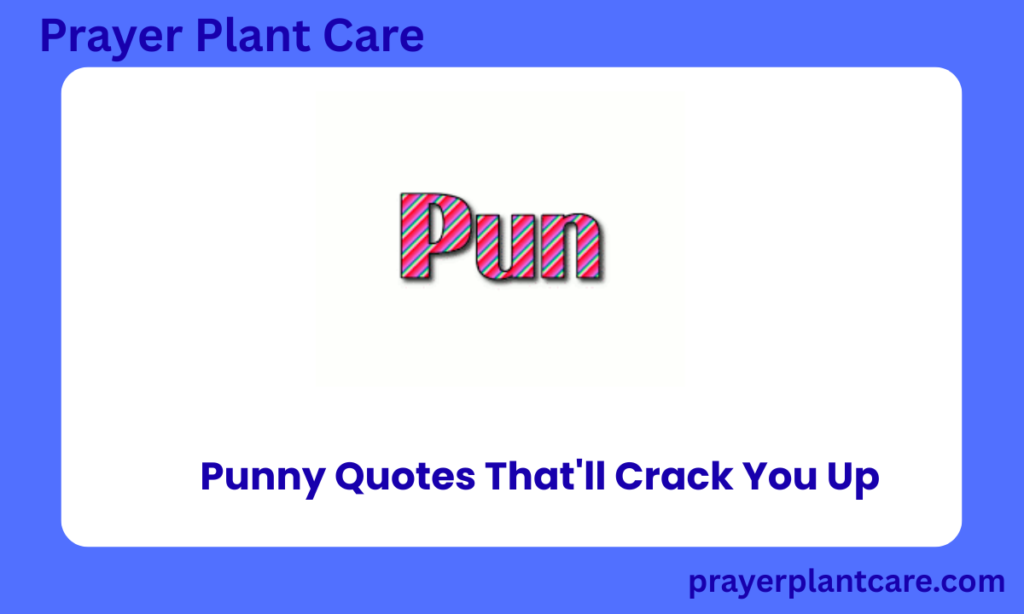 Punny Quotes That'll Crack You Up