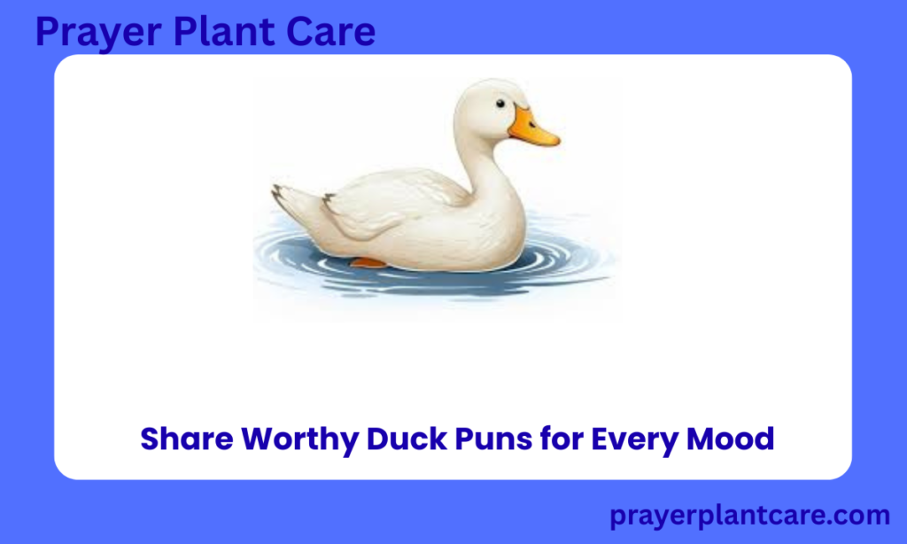 Share Worthy Duck Puns for Every Mood