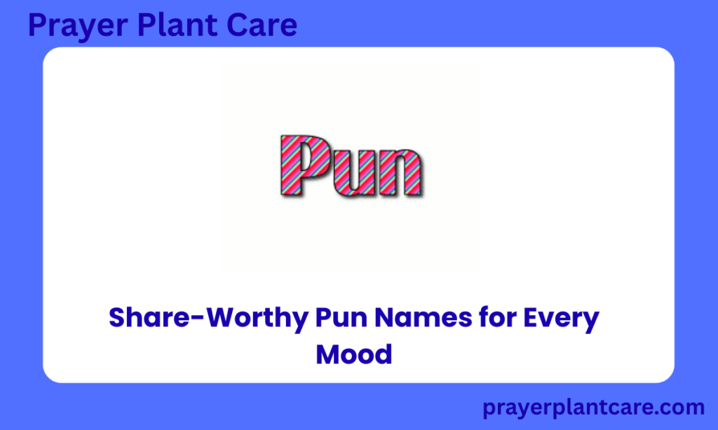Share-Worthy Pun Names for Every MooD