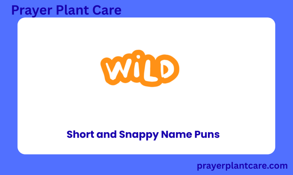 Short and Snappy Name Puns