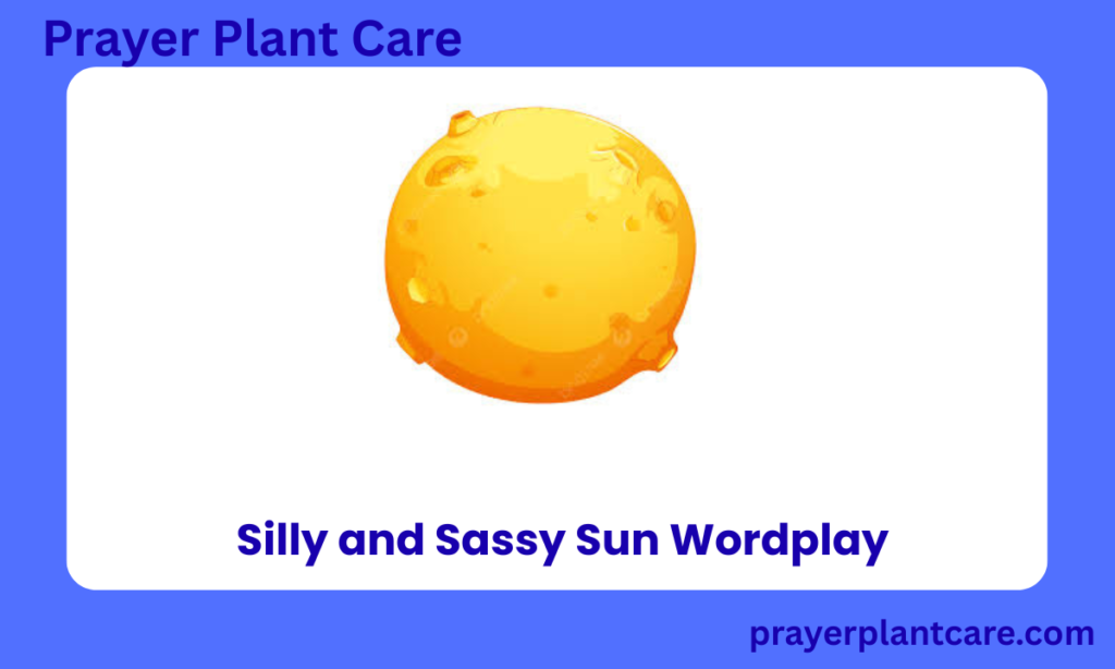 Silly and Sassy Sun Wordplay